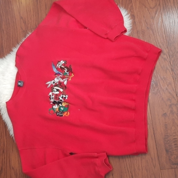 Warner Brothers Studio Store Looney Tunes Embroidered Vintage Oversized Sweatshi - Picture 1 of 5